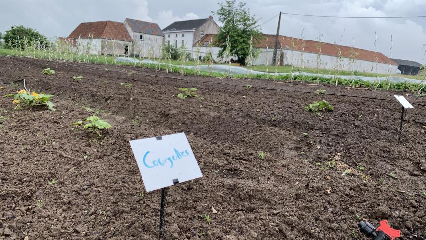 belgaimage-151328399-full