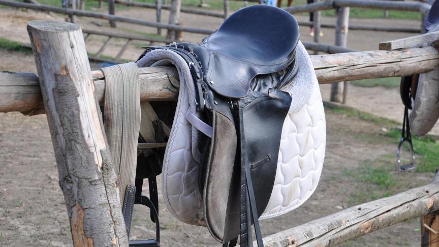 Le « fitting test », l’analyse du matériel posé sur le cheval, doit être réalisé en statique.
