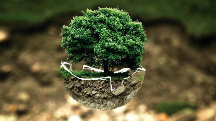 environmental-protection-683437_1280