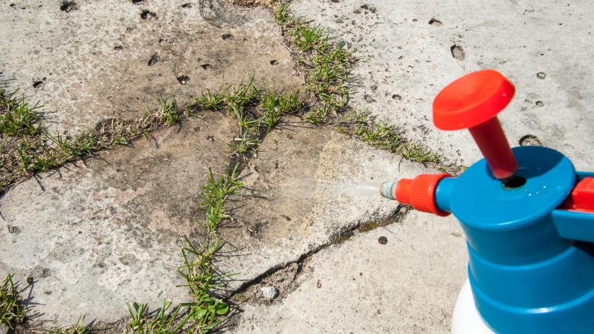 AdobeStock_166375744