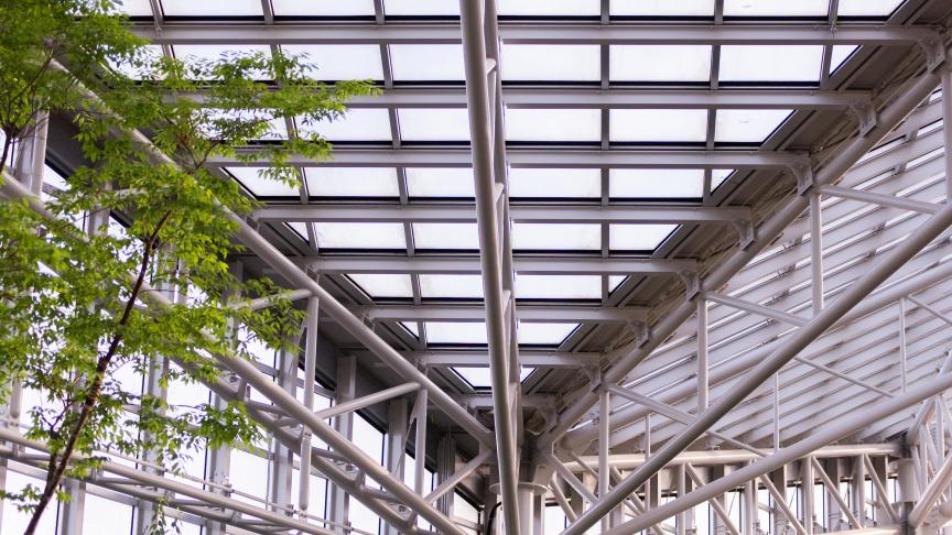 AdobeStock_207117051