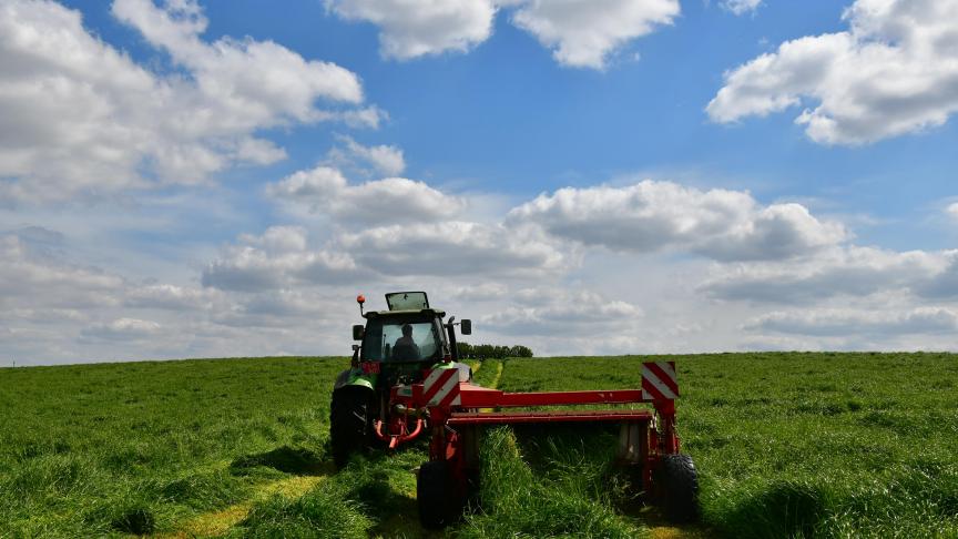 Bien que l'ensilage d'herbe et de maïs ne soient pas particulièrement riches en protéines, ils fournissent tout de même 45 % des besoins totaux en protéines du secteur de l'élevage.