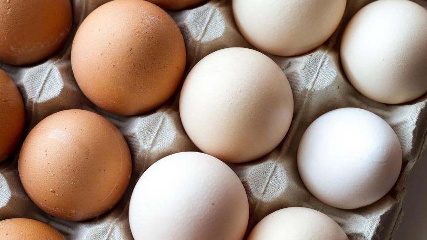 egg-white-3048118_1920