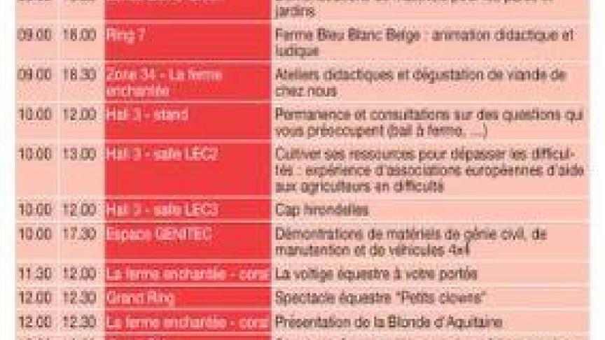 DIMANCHE (2)