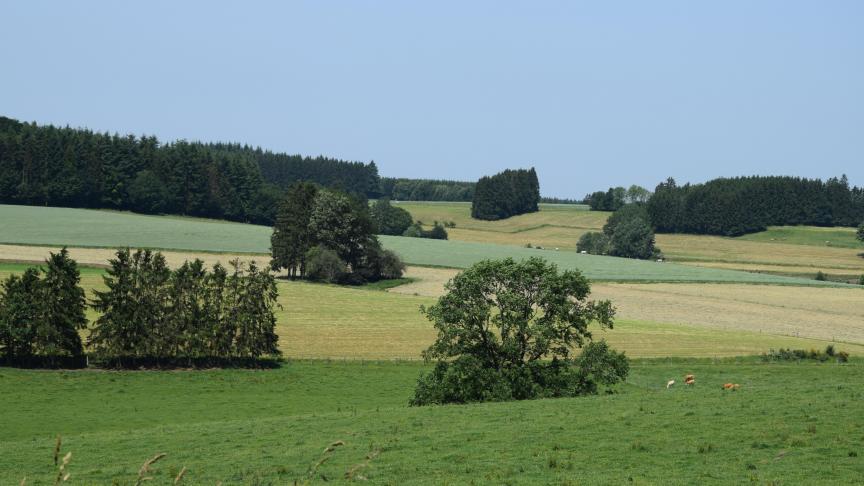 Le preneur de biens ruraux ne peut sous-louer en tout ou en partie le bien loué sans l’autorisation du bailleur.