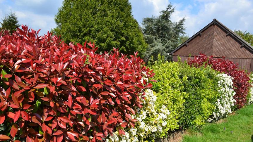 L’article 655 du Code Civil dispose que «
La réparation et la reconstruction d’une séparartion (mur, haie, fossé) mitoyenne sont à la charge de tous ceux qui y ont droit, et proportionnellement au droit de chacun
».