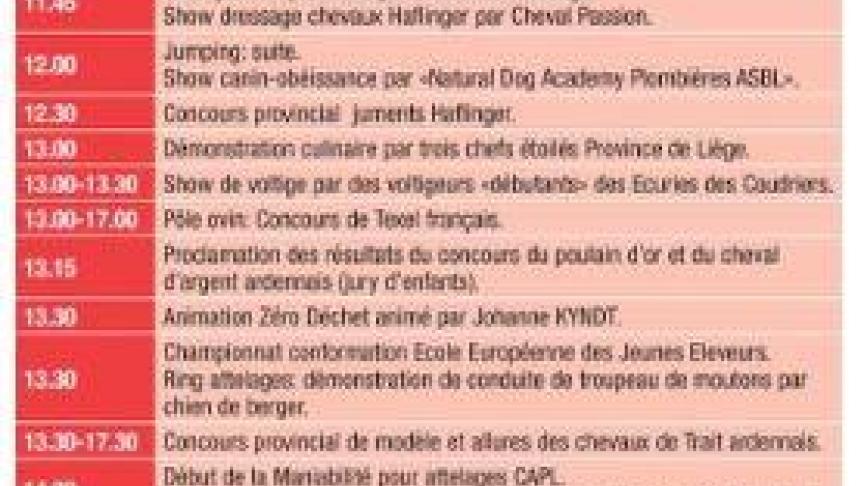 BATTICE DIMANCHE