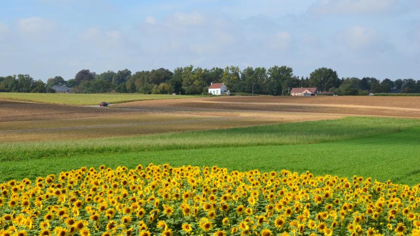 Quelque 900.000 contrôles sont réalisés chaque année sur le terrain.