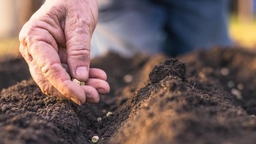 AdobeStock_258412576