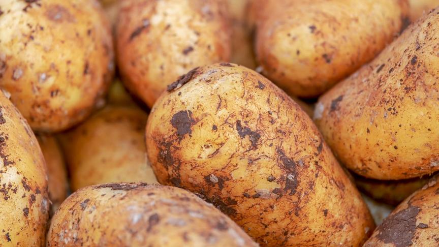 potatoes-4059963_1920