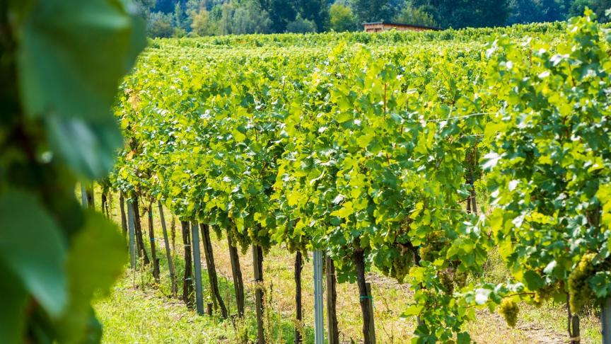 L’UE demeure le premier exportateur de produits agroalimentaires dans le monde, et occupe le 2
e
 rang sur le plan des importations.