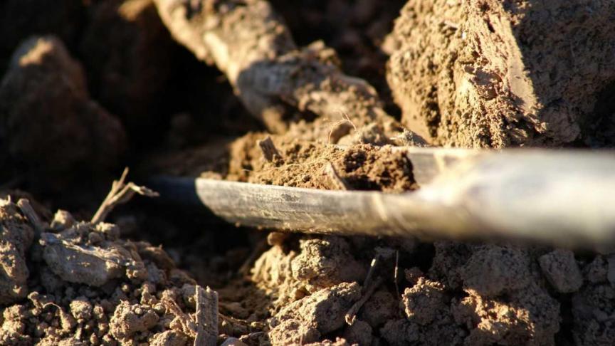 Il est vivement conseillé d’être présent au moment du prélèvement des échantillons pour la mesure de l’APL afin de vérifier que tout se passe bien et indiquer les zones «particulières»  de la parcelle (emplacement d’un ancien tas de fumier, zones de redoublage, etc.).