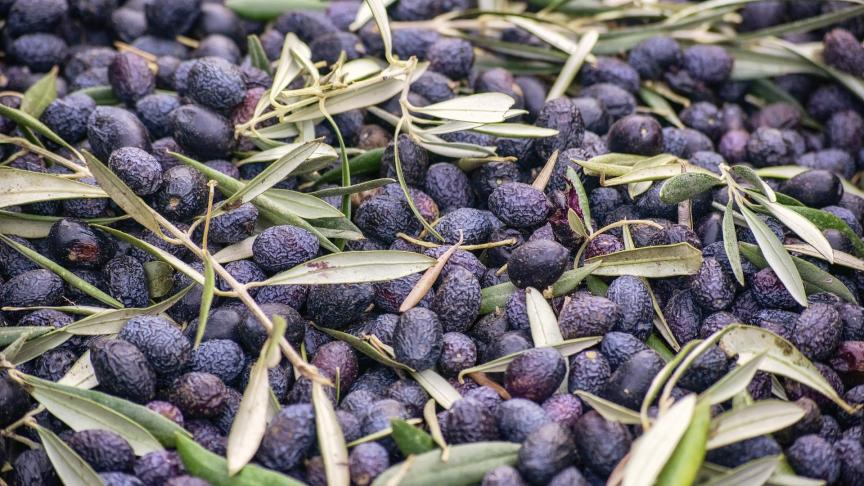 Parmi les produits visés par les nouvelles taxes américaines, on trouve les vins espagnols et français, les fromages italiens et anglais, mais aussi les olives et huile d’olive d’Espagne.
