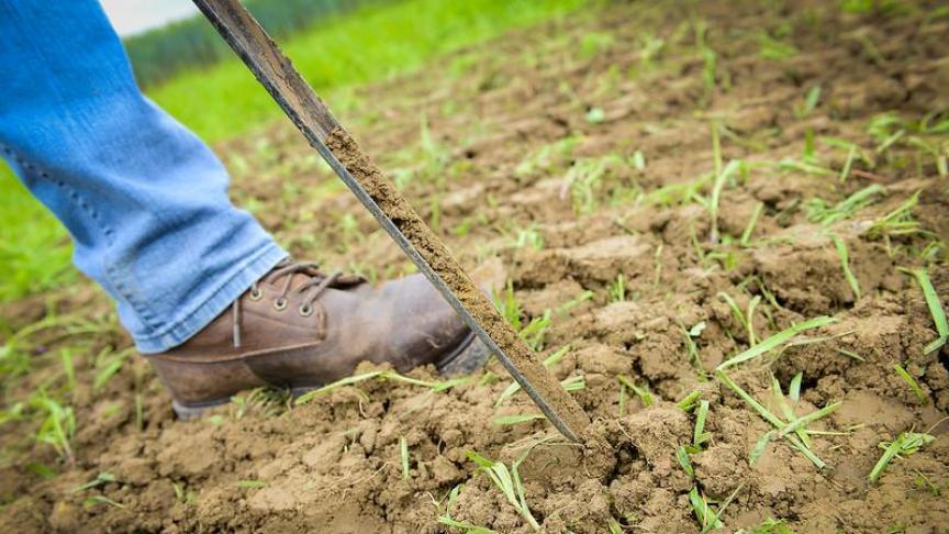 La demande de contre-analyse doit être formulée dans les 15 jours  qui suivent la date du premier prélèvement.