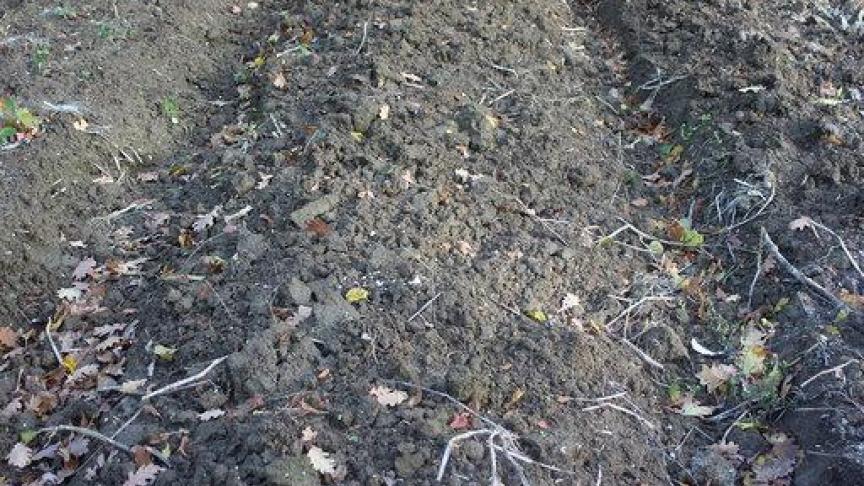 Les ados préparés avant l'hiver resteront en place au moins jusqu'au printemps.