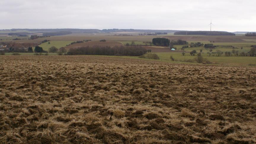 La destruction d’une prairie permanente est proscrite en automne, vu les risques encourus pour la qualité de l’eau en raison d’une libération potentiellement considérable d’azote minéral à court terme.