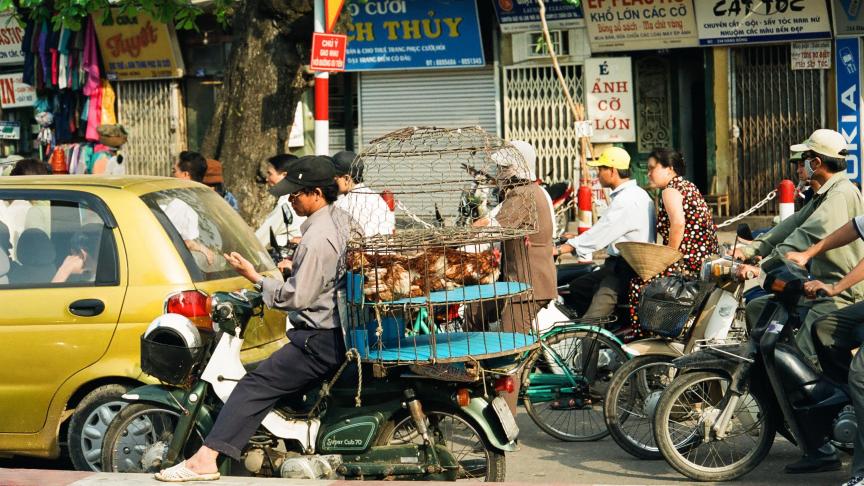 L’agriculture asiatique doit répondre à des besoins colossaux en lien avec la poussée démographique observée dans certaines régions.