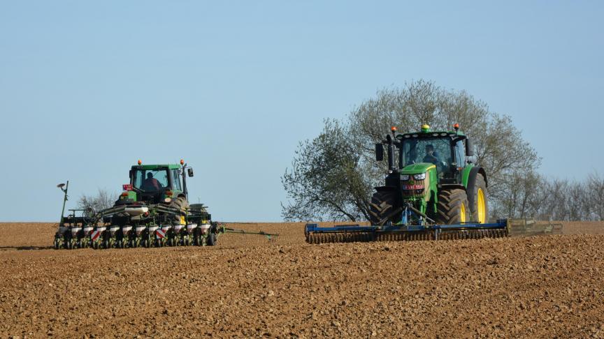 La campagne betteravière à venir pourrait bien être la dernière sous le régime des semences enrobées.