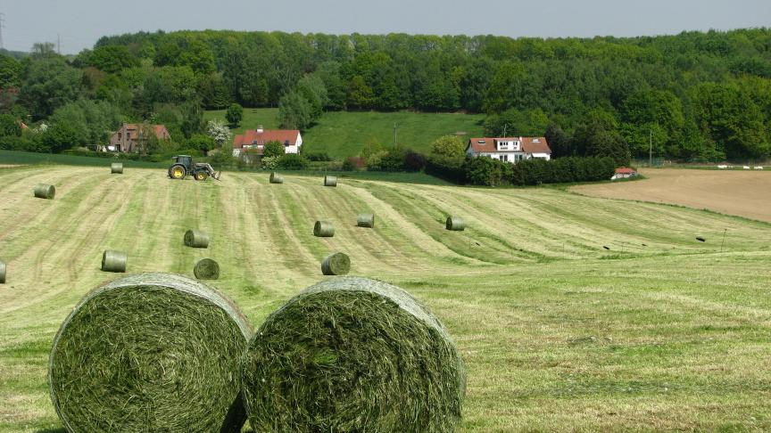 Le secteur agricole sera principalement concerné par la stratégie de la «
fourche à la fourchette
» attendue au printemps prochain.