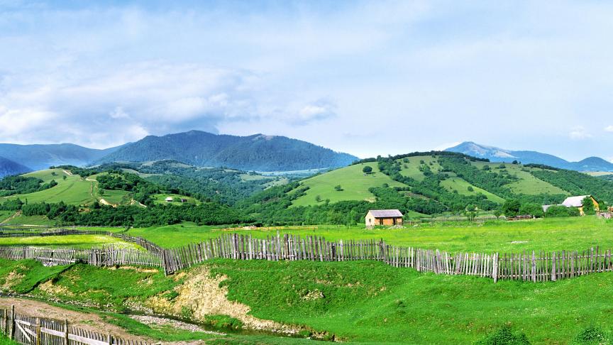 AdobeStock_308951082
