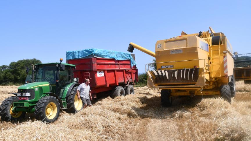 L'Europe vient de vivre l'année la plus chaude jamais enregistrée, avec une légère avance sur 2014, 2015 et 2018. On se souvient notamment des pics supérieurs à 40°C relevés chez nous la veille de la Foire agricole de Libramont.