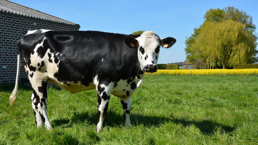 Notre agriculture est qualitative et respectueuse de l’environnement. Rappelons-le à souhait.