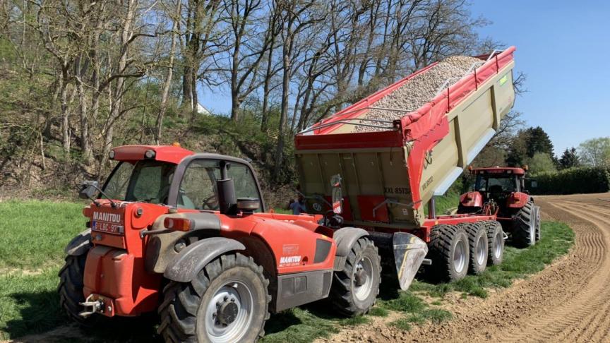 La surface en pommes de terre de consommation a augmenté de 6,5% dans les cinq principaux pays producteurs du nord-ouest de l’Europe. Attention à l’impact sur les prix à la production, si cette évolution perdure!