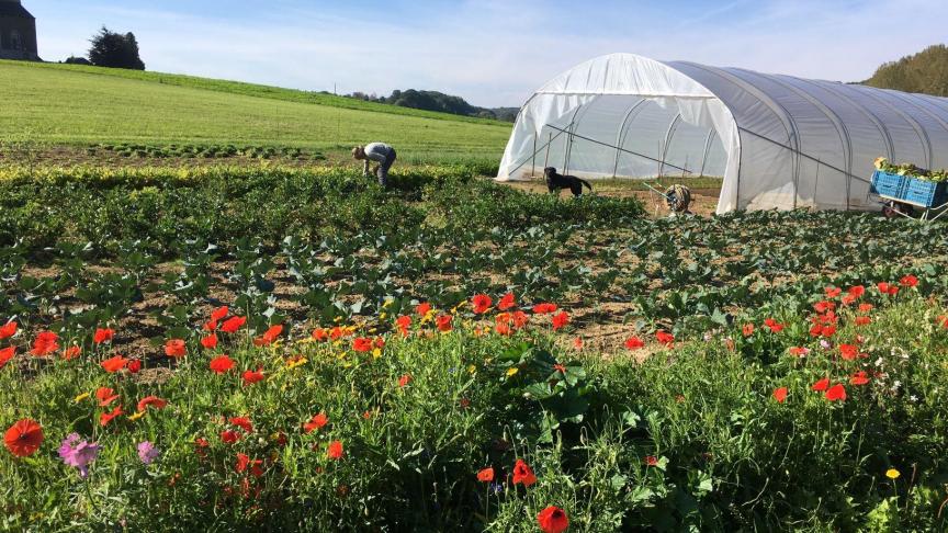 Le maraichage sur petites surfaces est en plein émulation depuis quelques années et des collaborations commencent à naitre. Une telle activité doit cependant souvent être associé à un mode de vie simple si le maraicher veut perdurer.