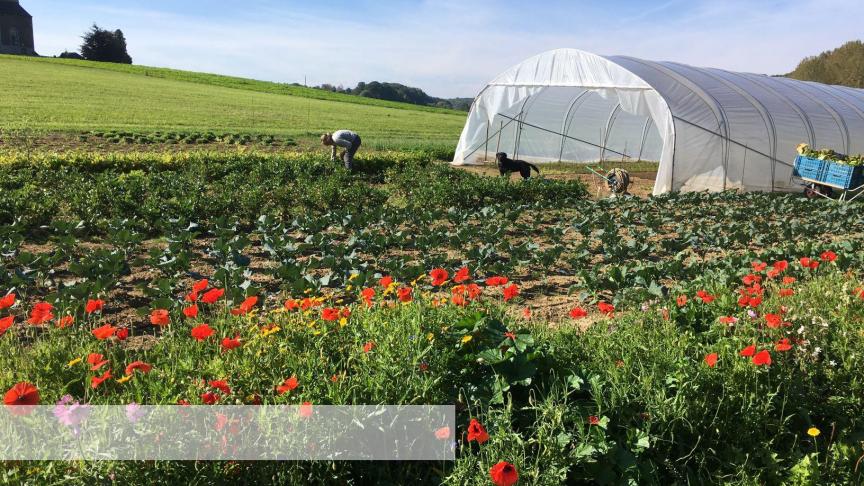 Le maraichage sur petites surfaces est en plein émulation depuis quelques années et des collaborations commencent à naitre. Une telle activité doit cependant souvent être associé à un mode de vie simple si le maraicher veut perdurer.