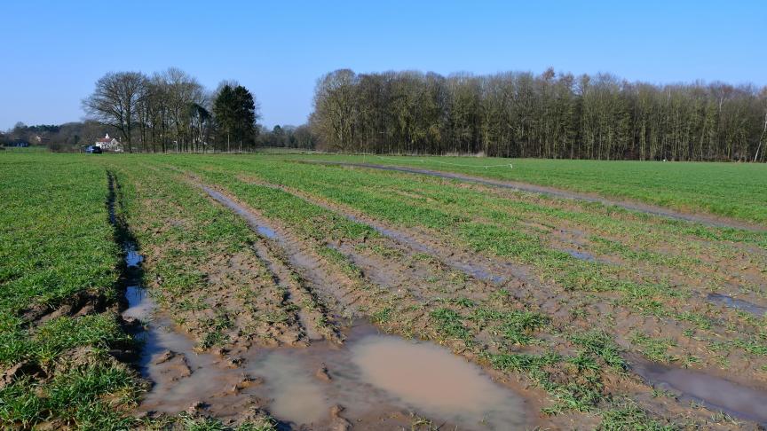 Toute intervention suppose que l’on attende patiemment le parfait ressuyage de la parcelle!