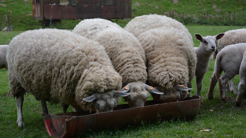 Les versements ont été effectués le 9
mars.
