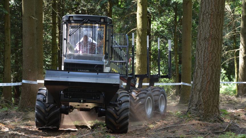 Du côté des feuillus et épicéas, les prix sont stables.