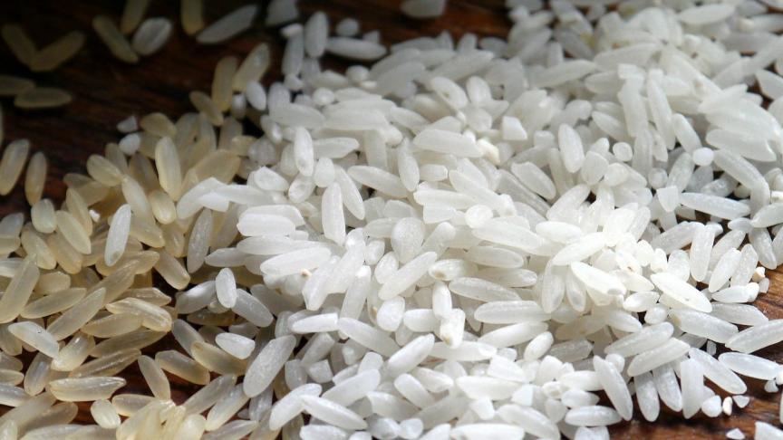 rice-498688_1920