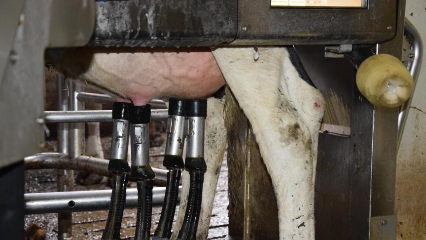 Pour pouvoir appliquer les décisions citées, la cotisation demandée aux producteurs laitiers sera majorée à partir du 1
er
juillet 2020. Cette cotisation augmentera de 0,015 euro par 1.000 litres.