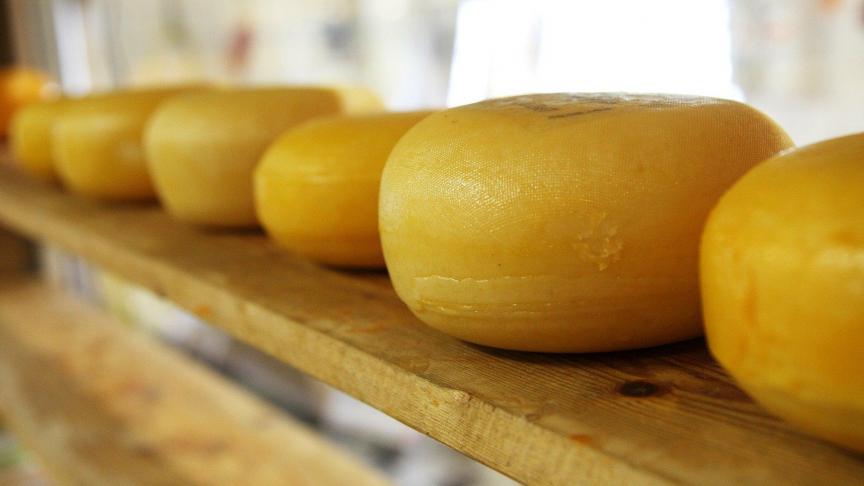 Les organisations agricoles appellent notamment la Commission à activer le stockage privé pour tous les produits laitiers: poudre, beurre, fromage…