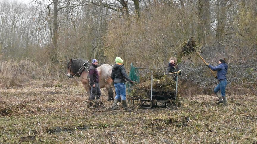 Chargement des tas de ronces par les bénévoles.