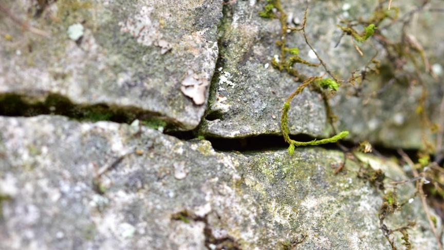 Les anfractuosités de la roche constituent des voies de circulation rapide pour l'eau qui s'infiltre.