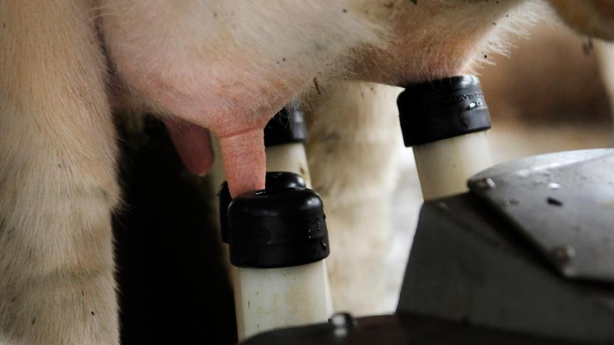 Il est toujours conseillé de remplacer les manchons en temps et en heure.