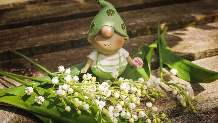 La vente du muguet peut pour le moment seulement se faire via les supermarchés et les centres de jardinage. Les fleuristes espèrent pouvoir ouvrir leurs portes le 1
er
 mai!