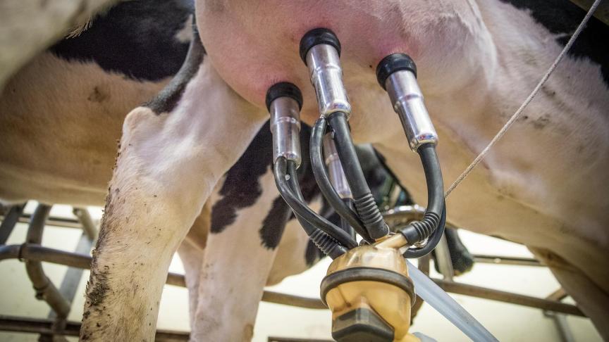 milk-3455395_1920