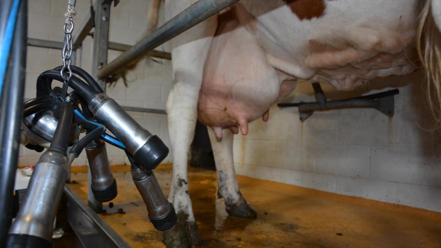 Comme en 2017 et 2018, aucune exploitation n’a été interdite en 2019 pour cause de présence de substances inhibitrices dans le lait.