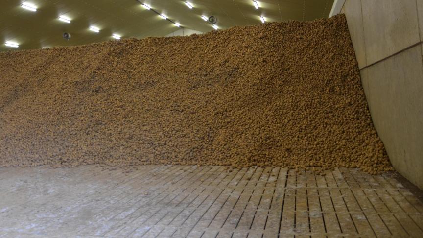 Certaines productions agricoles sont impactées par la crise sanitaire. C’est notamment le cas du secteur de la pomme de terre qui a enregistré au cours de ces dernières semaines un gros ralentissement de sa transformation et de l’exportation des produits à base de pomme de terre. Nos agriculteurs font face à d’importants stocks qui sont bloqués dans leurs exploitations.