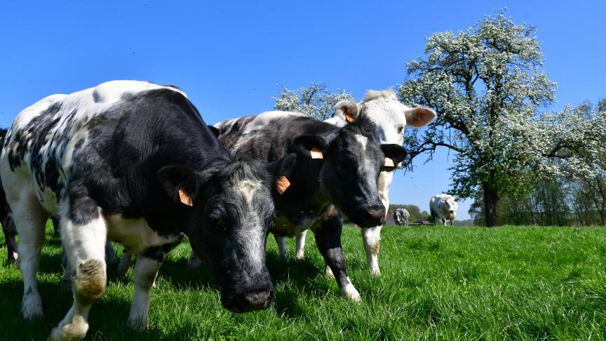 Le commissaire européen Wojciechowki, a reconnu que le paquet de mesures d’intervention sur les marchés annoncées le 22 avril n’était «probablement pas suffisant».