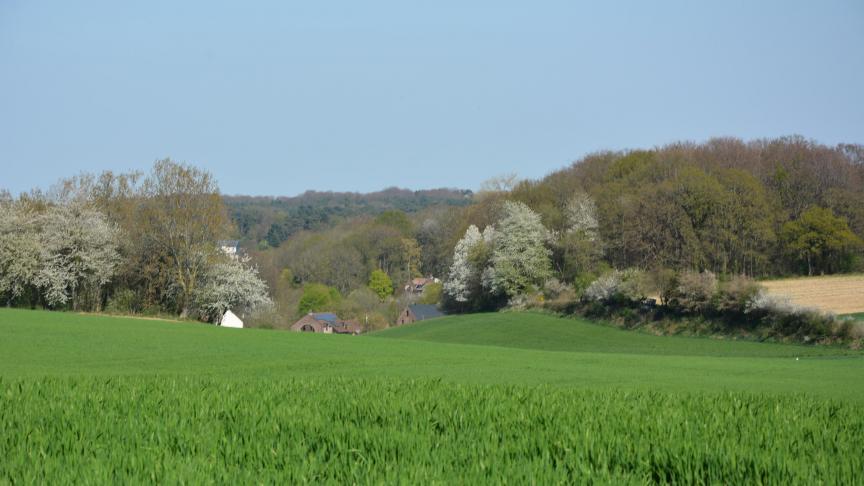 DSC_8699