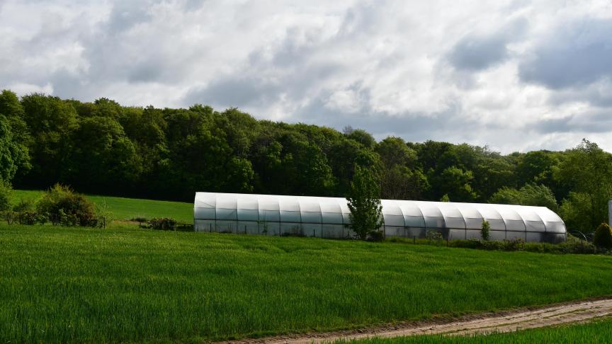 Le label Fairtrade/Max Havelaar, jusqu’ici réservé aux seuls produits issus des pays du Sud, pourrait s’ouvrir prochainement au local «made in France».