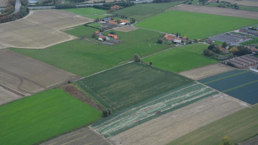 Pour davantage d’efficacité et de facilité, les parcelles saisies dans la déclaration de superficie peuvent désormais être importées dans l’environnement de Vegaplan.