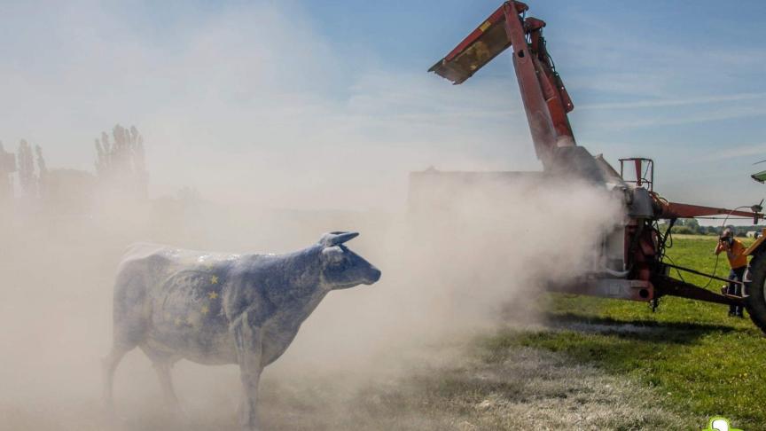 En plusieurs endroits d’Europe (ici, à Braine-le-Comte), des éleveurs laitiers  ont symboliquement épandu de la poudre de lait sur leurs champs pour  dénoncer les mesures prises par l’Europe en vue d’enrayer la crise laitière.