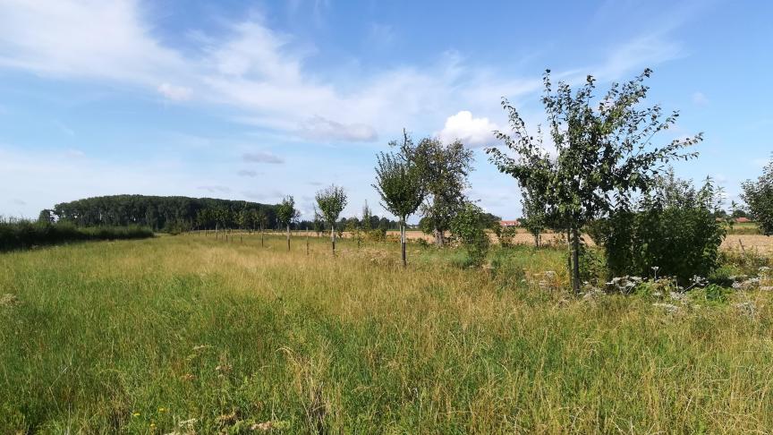 Le territoire du Parc naturel des Plaines de l’Escaut après extension couvrira l’ensemble du territoire des 7 communes de Antoing, Beloeil, Bernissart, Brunehaut, Péruwelz, Rumes et Tournai.