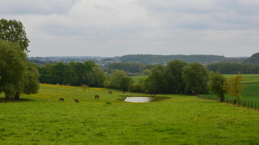 Le coefficient qui intervient dans le calcul du fermage est désormais fixé annuellement, selon l’évolution du revenu du travail agricole par ha pour chaque région agricole et selon un index basé sur l’indice des prix à la consommation.