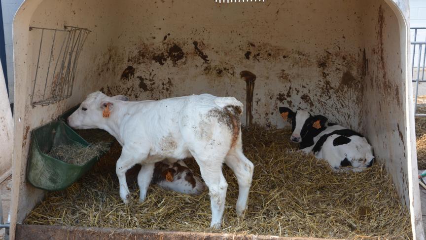 La carence en fonds de soutien aux secteurs qui ne bénéficient pas des aides d’urgence récemment adpotées souligne l’impérieuse nécessité de renforcer le budget de la politique agricole commune pour la prochaine période de programmation financière.